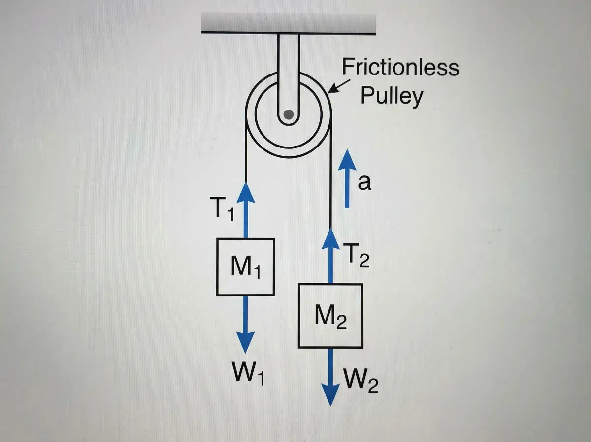 Free body diagram of Atwood machine with two masses