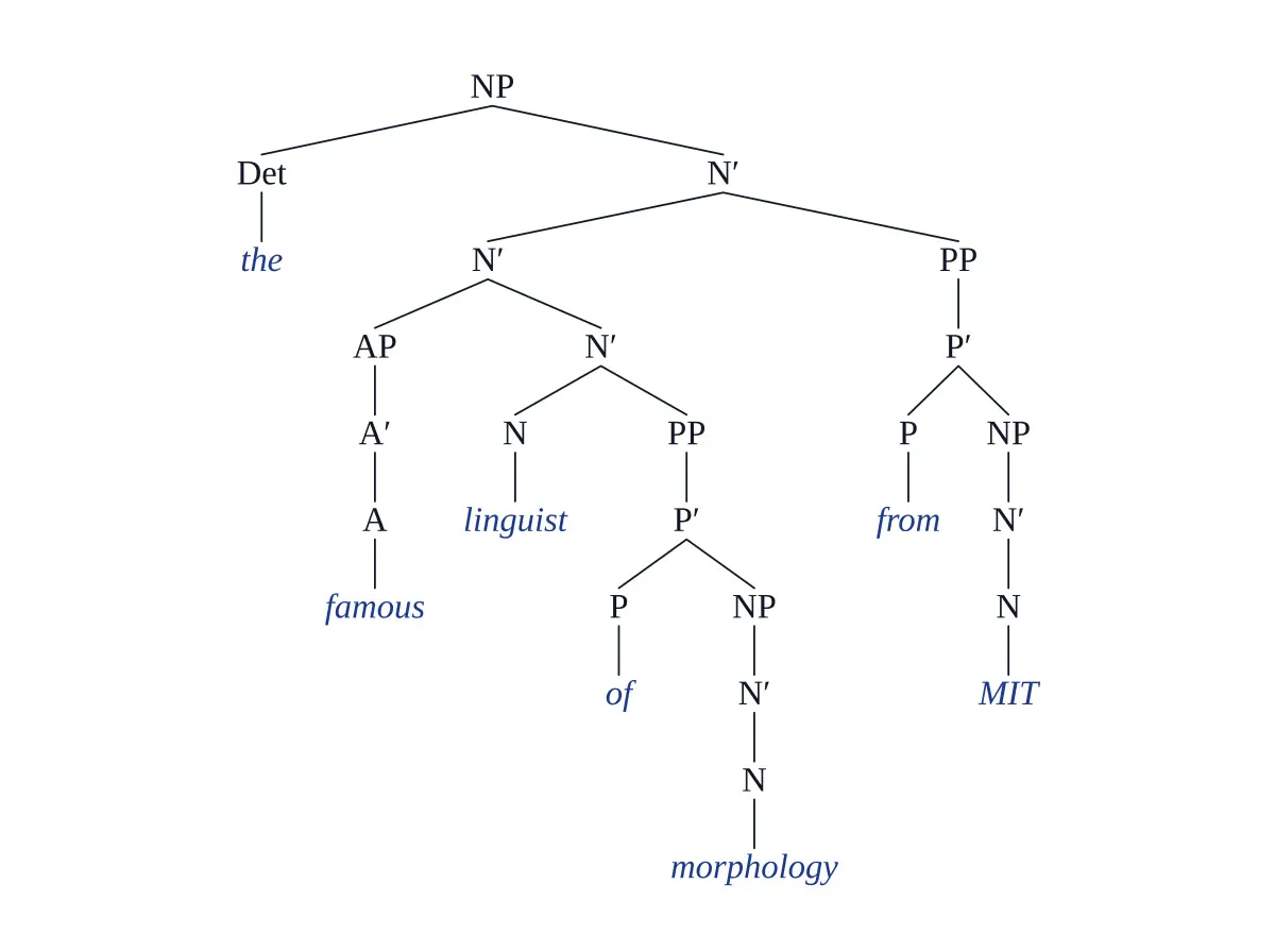 X-bar theory NP tree with specifier, head, complement, and adjunct