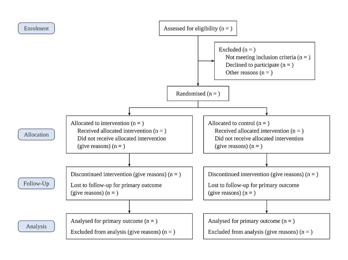 Blank CONSORT 2025 flow diagram template with every count left empty