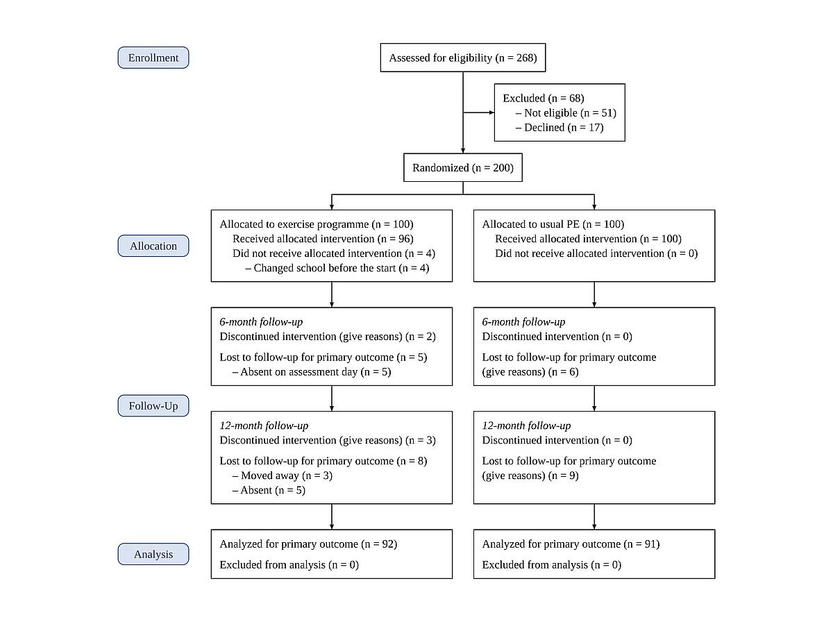 CONSORT flow diagram with separate 6-month and 12-month follow-up rows