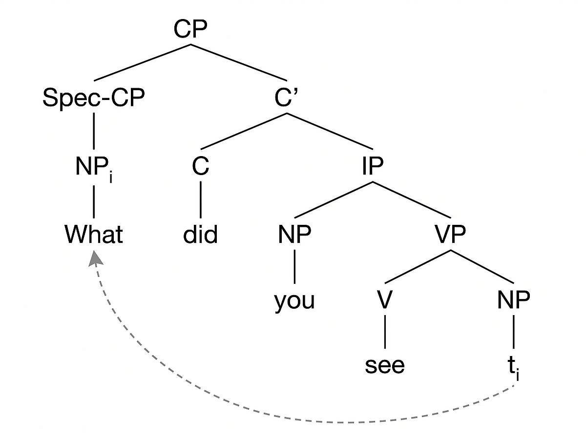 Wh-movement question tree with indexed trace