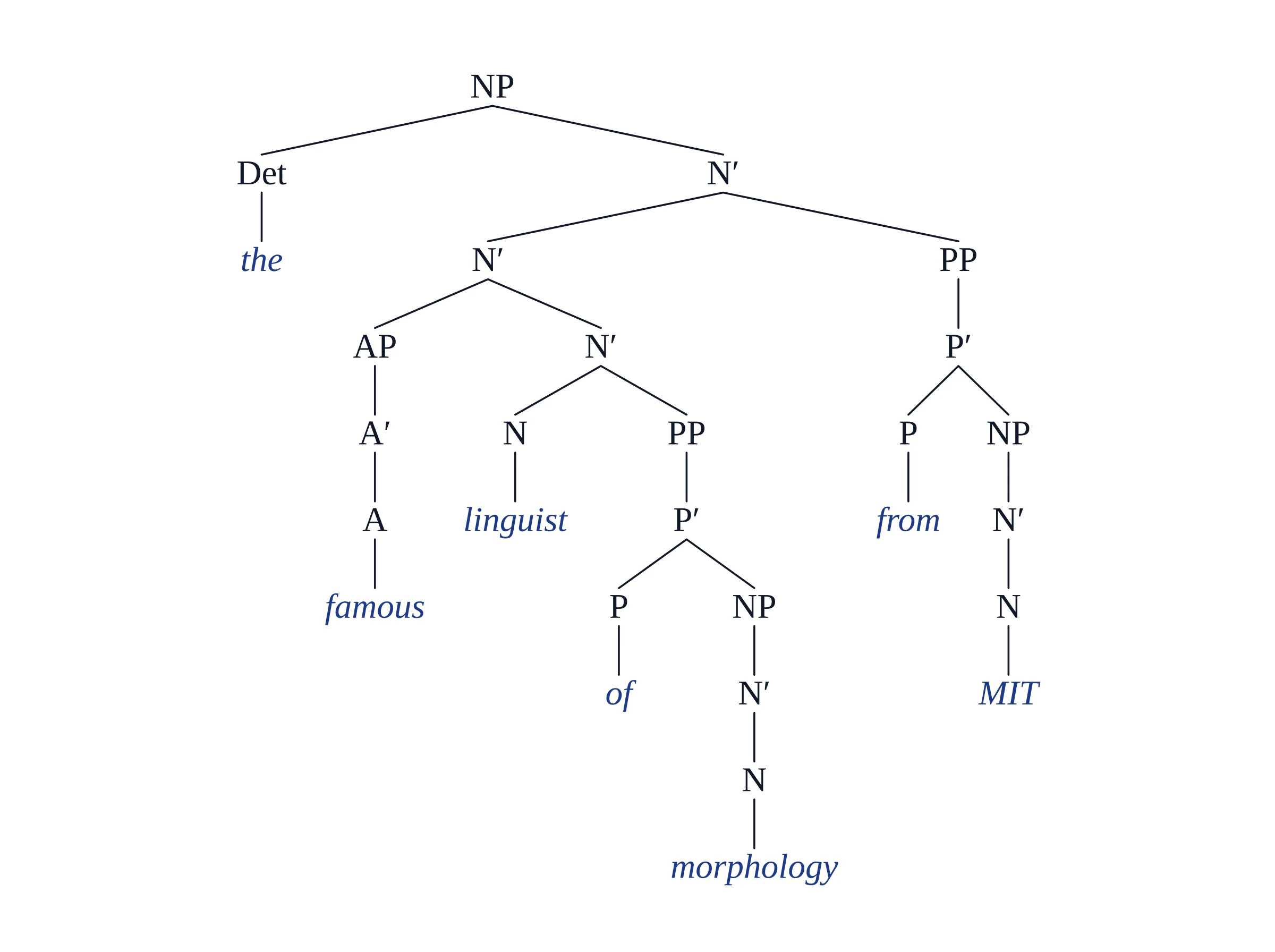 X-bar tree of 'the famous linguist of morphology from MIT': NP with Det the and N-bar; AP famous and PP from MIT as adjuncts at N-bar; PP of morphology as complement of N linguist