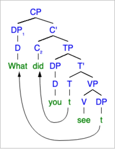 mshang Syntax Tree Generator rendering of the same wh-question tree: blue category labels, green words, two curved movement arrows from the traces to What and did